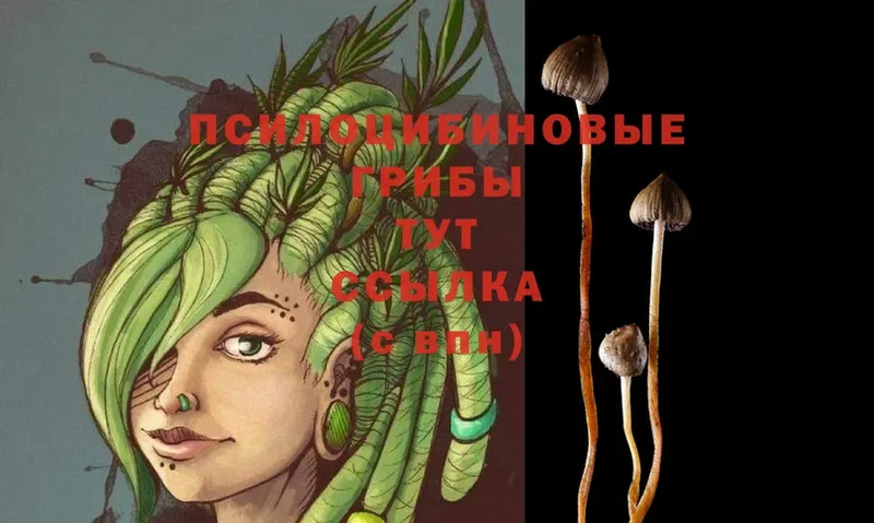 Псилоцибиновые грибы Magic Shrooms  МЕГА онион  Бутурлиновка  даркнет официальный сайт  купить  сайты 